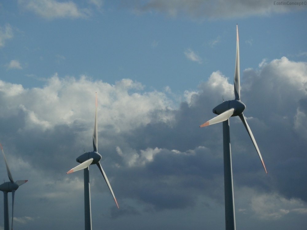 Six measures for more onshore wind in Germany